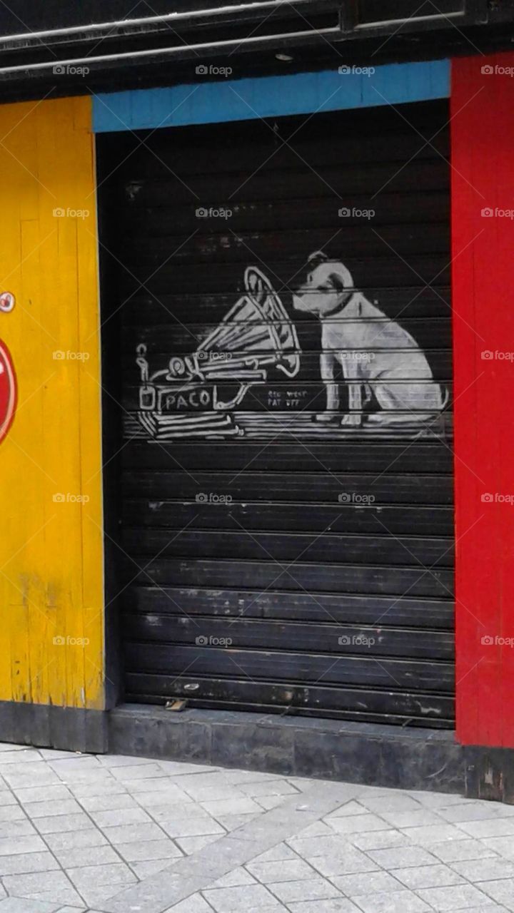 Visual Street Art: blocks of color frame a door with a dog and old fashioned horn painted on it.