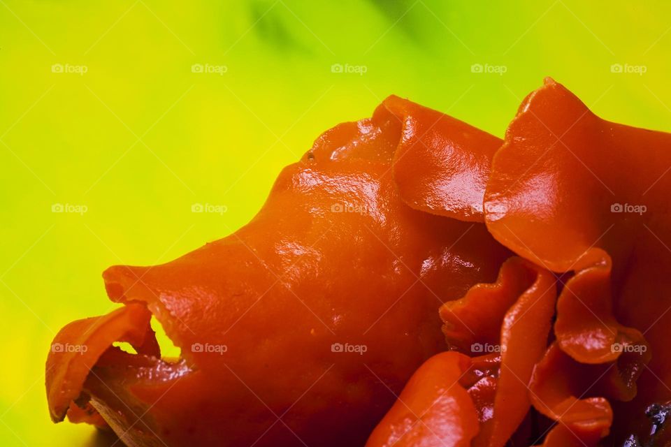Red mushroom close up background nature therapy amazing wildlife beautiful life summertime full on colours wonderful view wildlife beautiful nature therapy summer mood positive vibes wonderful day hustling daydreaming naturalism macro microcosmos