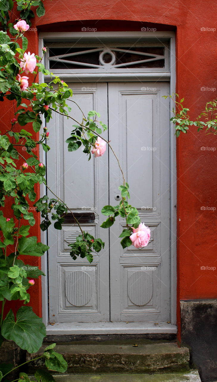 Door at Gamla Väster, Malmö