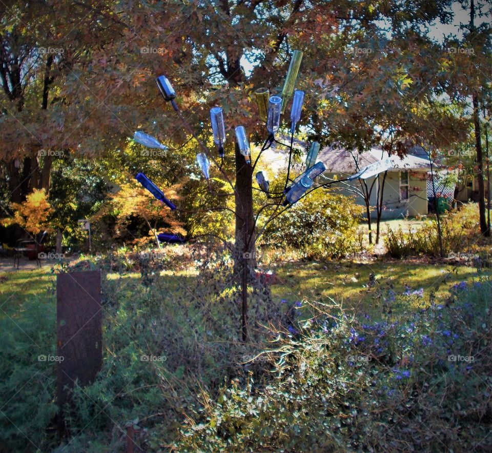 Bottle Tree