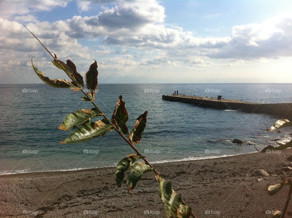 Empty early summer seashore