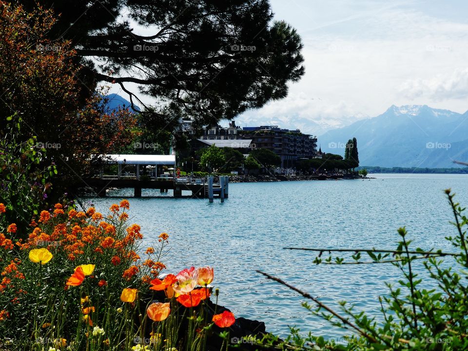 Yellow and orange flowers in the foreground with the blue open lake reaching a mountain range in the back. Green tree overhanging from the left to complete the frame