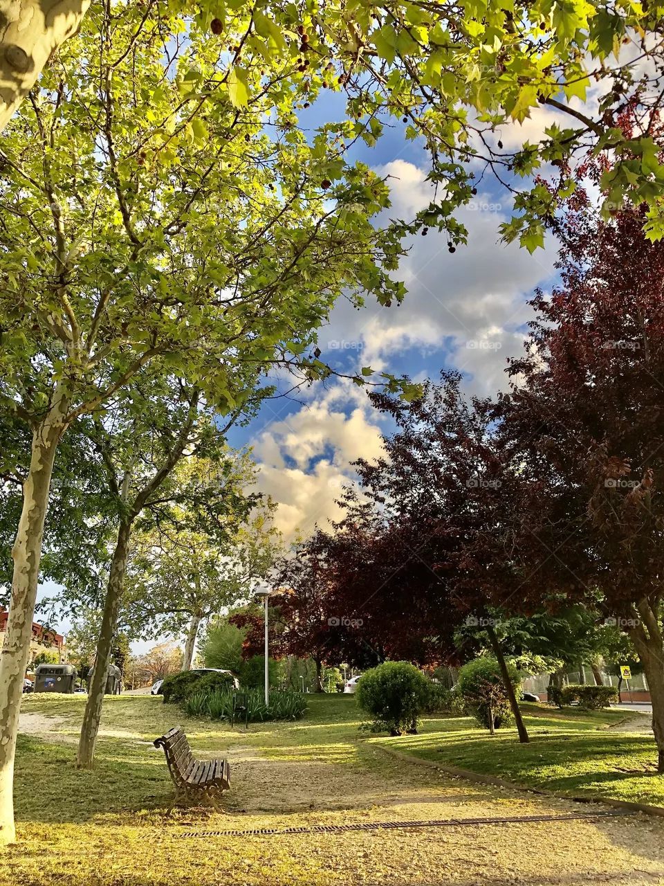 Parque🥰