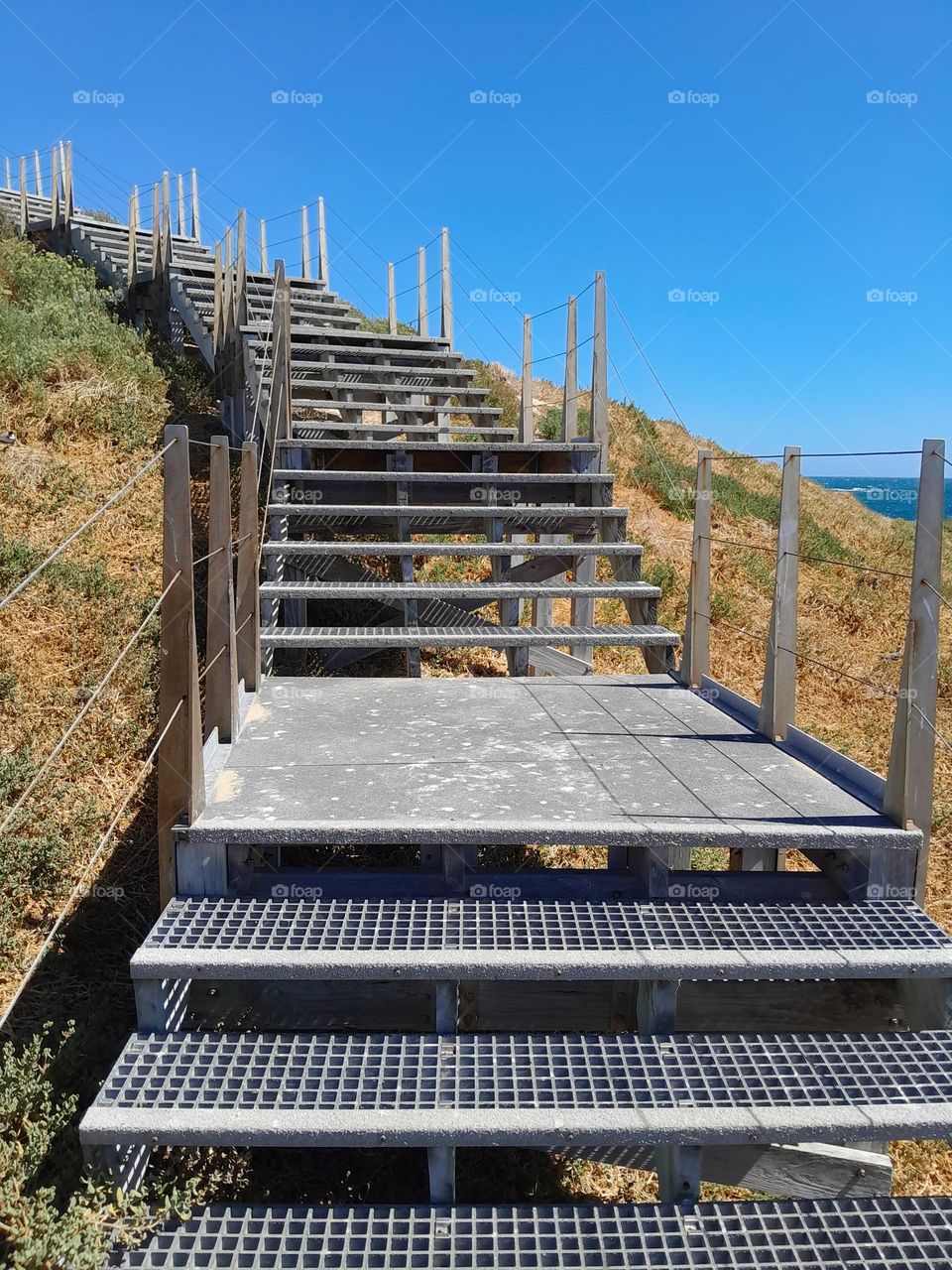 stairs spiralling up a small hill on penguin Island, bright and shining in the sun.