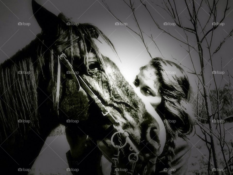 Kissing horse