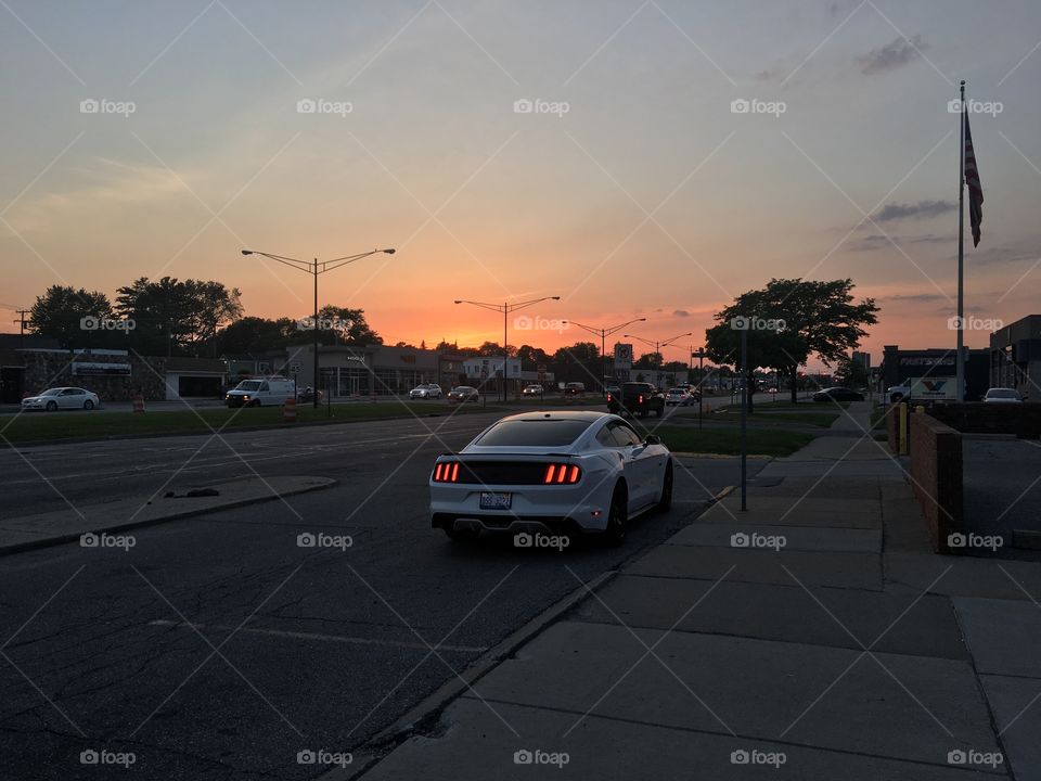 Mustang at sunset