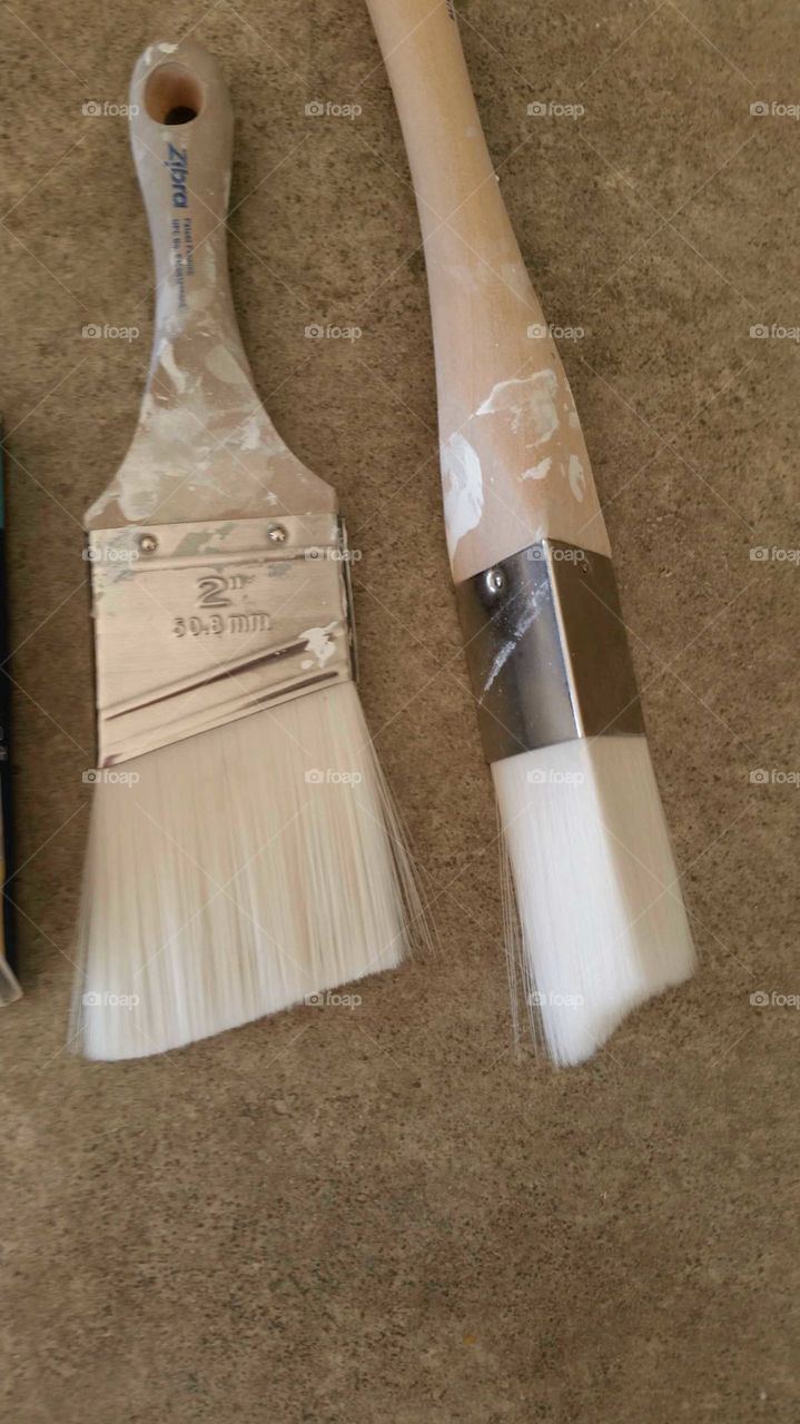 zibra paint brushes