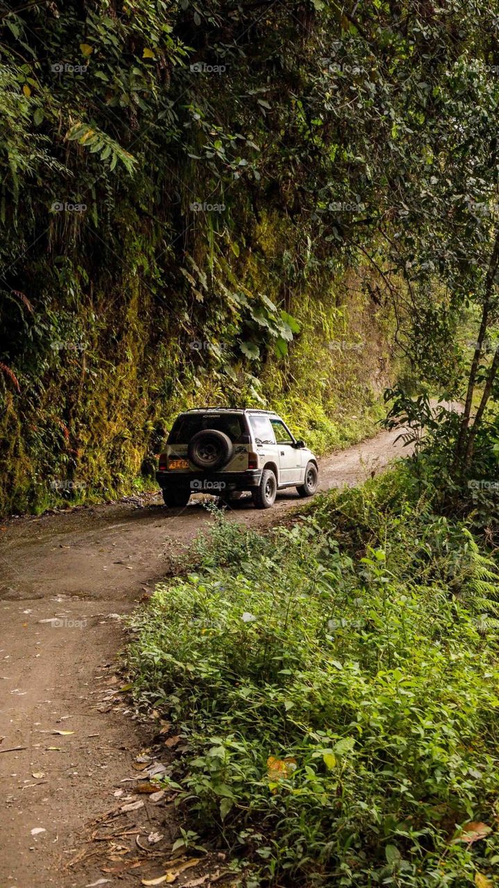 One Tour At Forest Trip