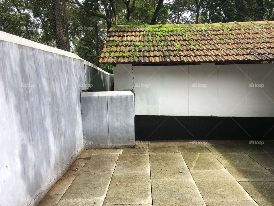 Perfect wall with a perfect crack