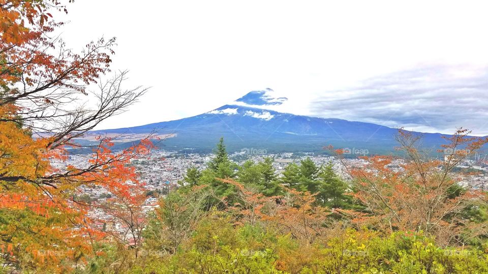 Mount  Fuji in the clouds