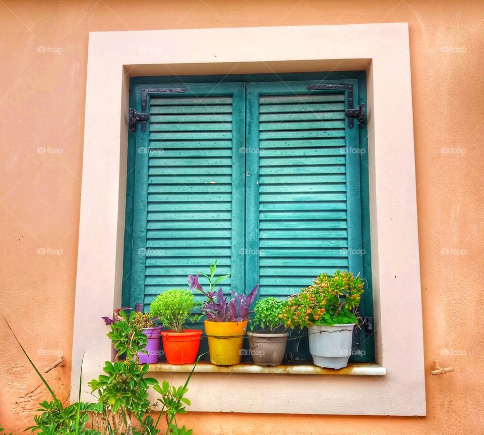 Colorful window in the city!