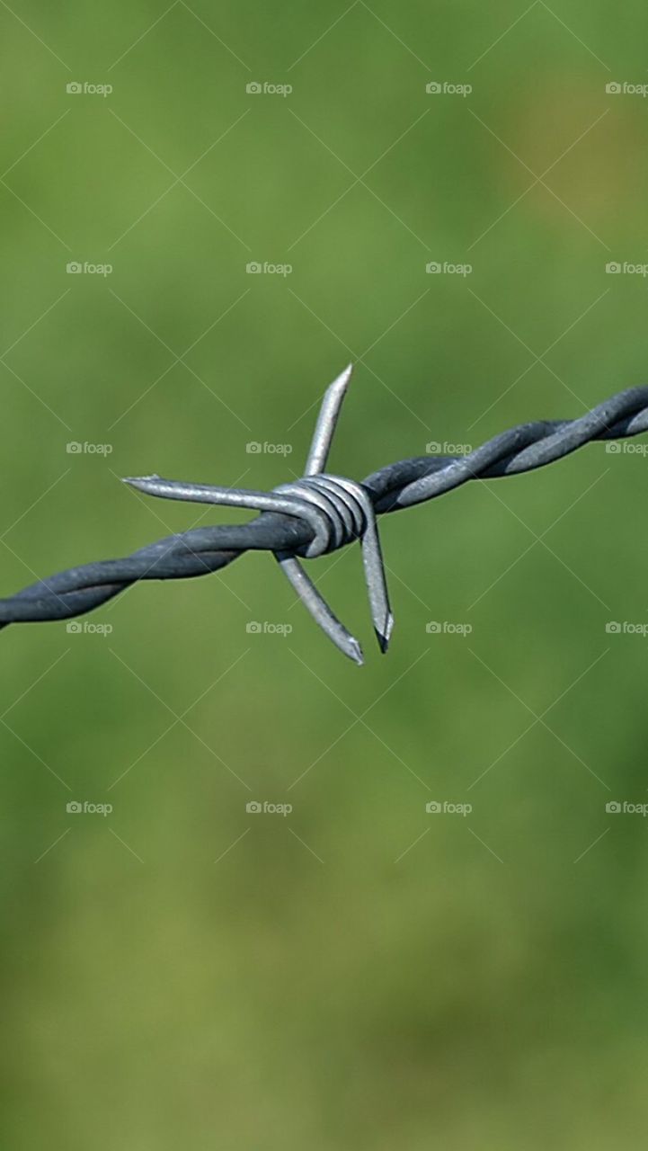 Barbed wire