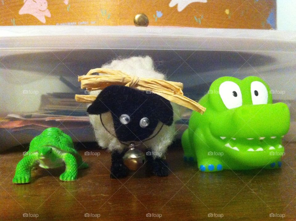 Handsome Trio. A turtle, a sheep, and an alligator. Unlikely friends.