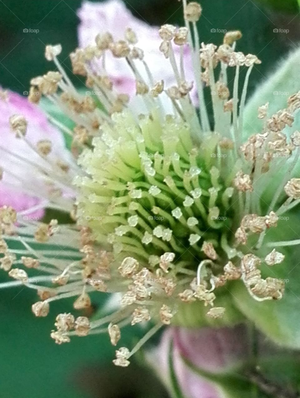 Why do I need this many ?