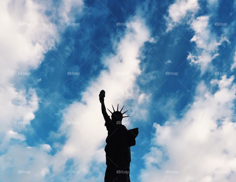 From Liberty to Library 