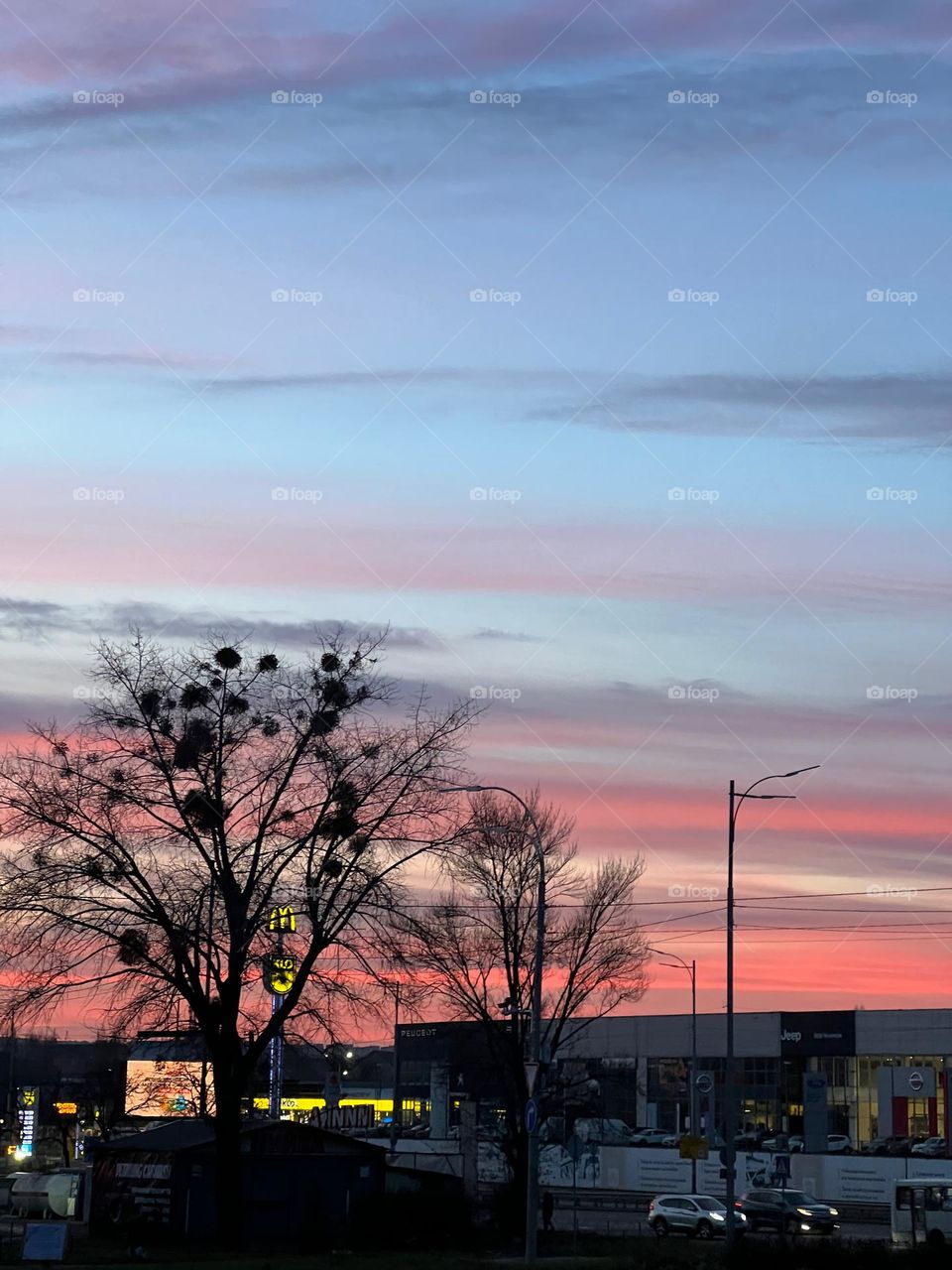 Красное небо озаряет темное дерево, выделяя его силу и загадочность.Контраст  природы создает впечатляющую картину, полную загадок и красоты.