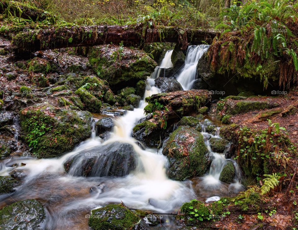 Trillium Falls