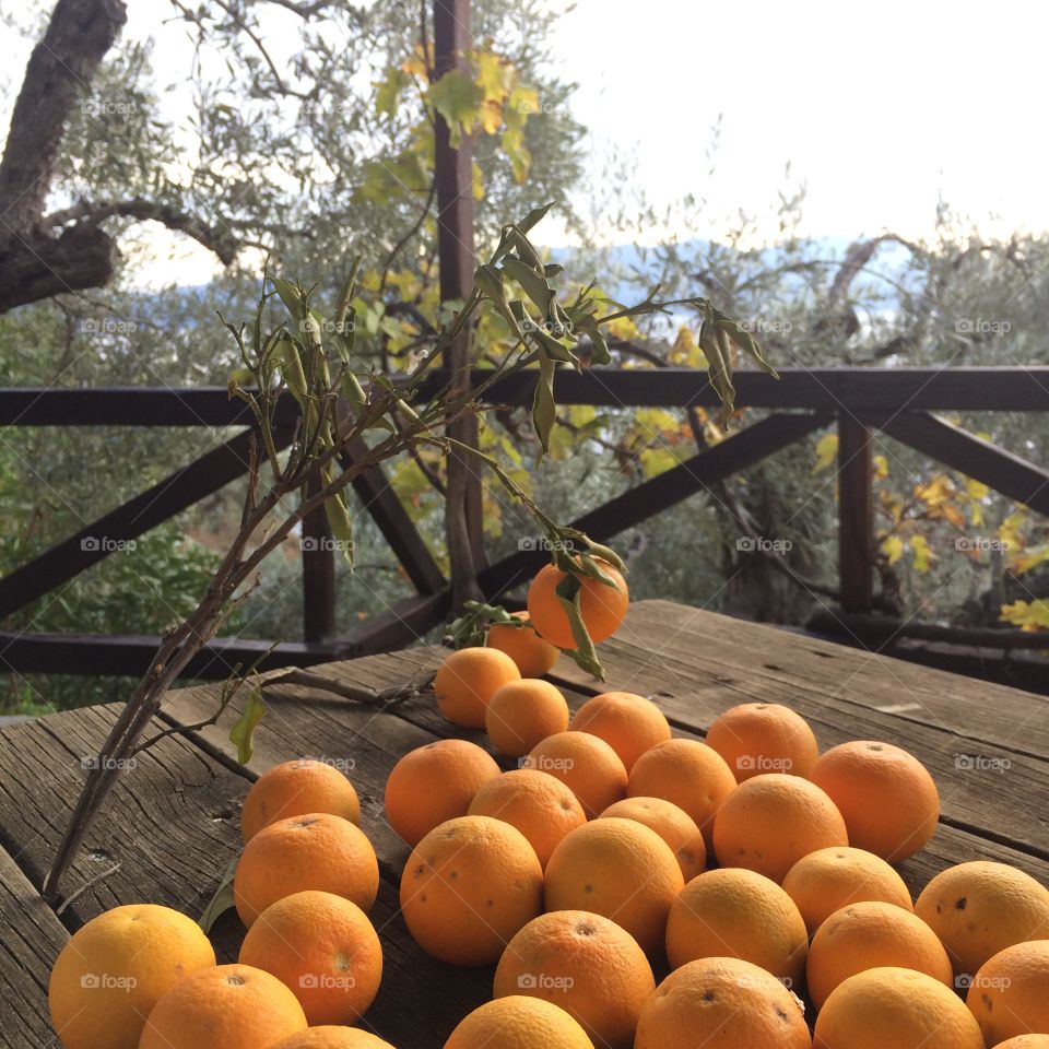 A beautiful pile of oranges, picture taken in Greece 