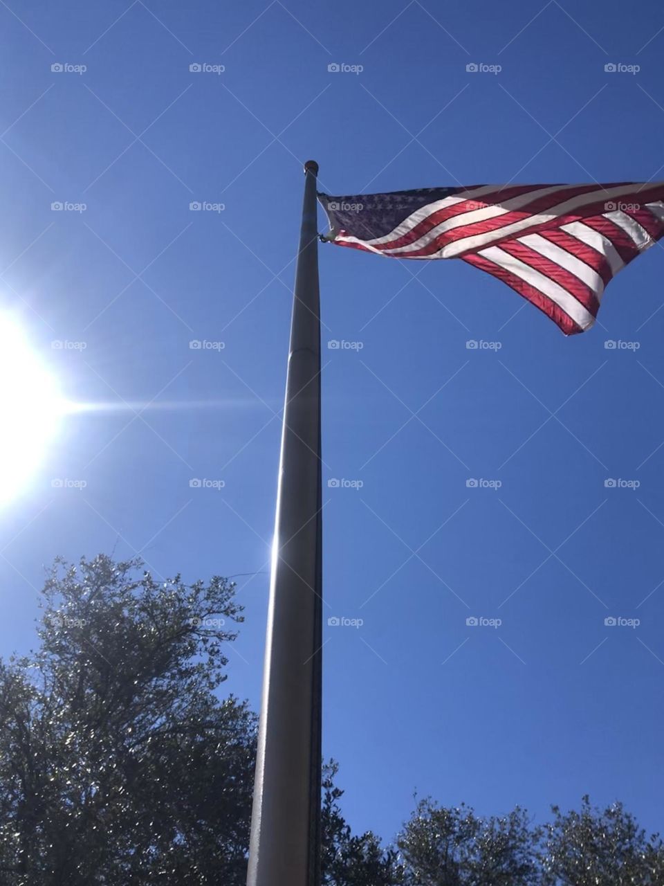 The American flag is flying high today, basking in the blue sky and the beaming sun! 🇺🇸