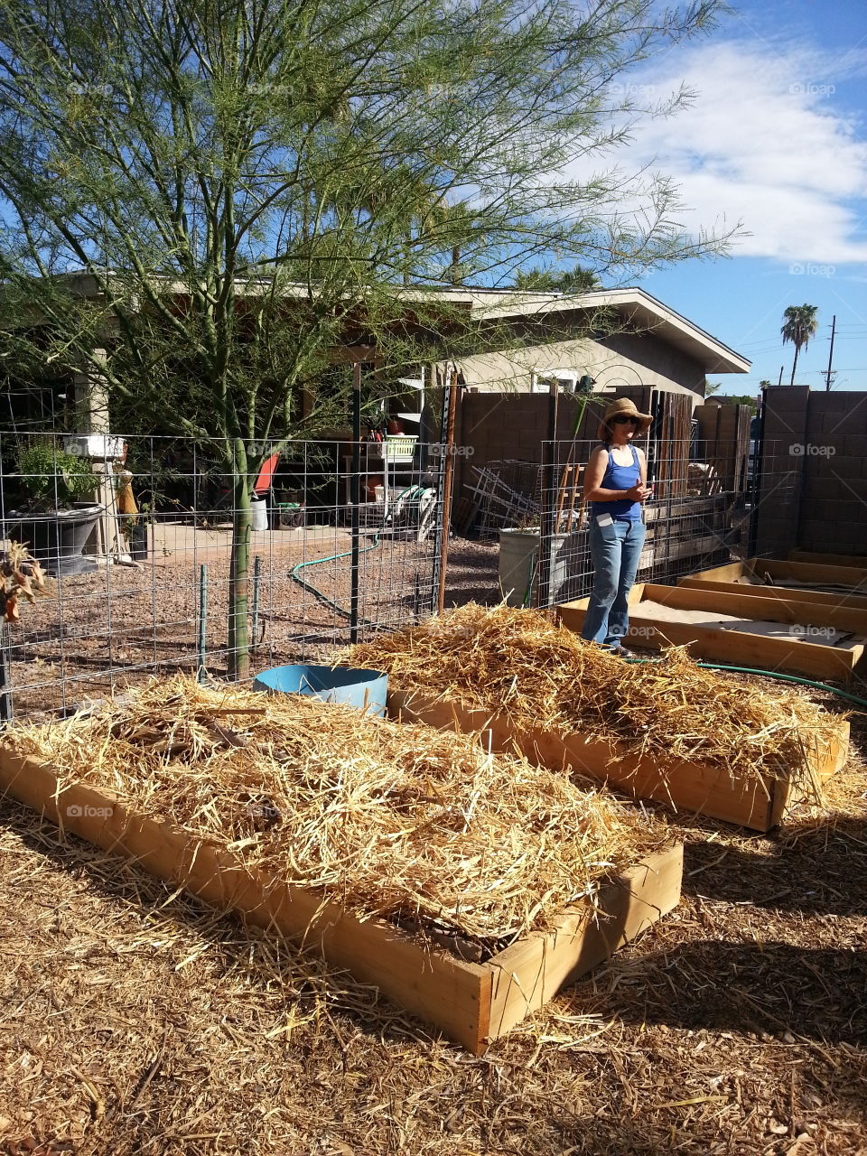 Garden Beds for Growing and Harvesting.