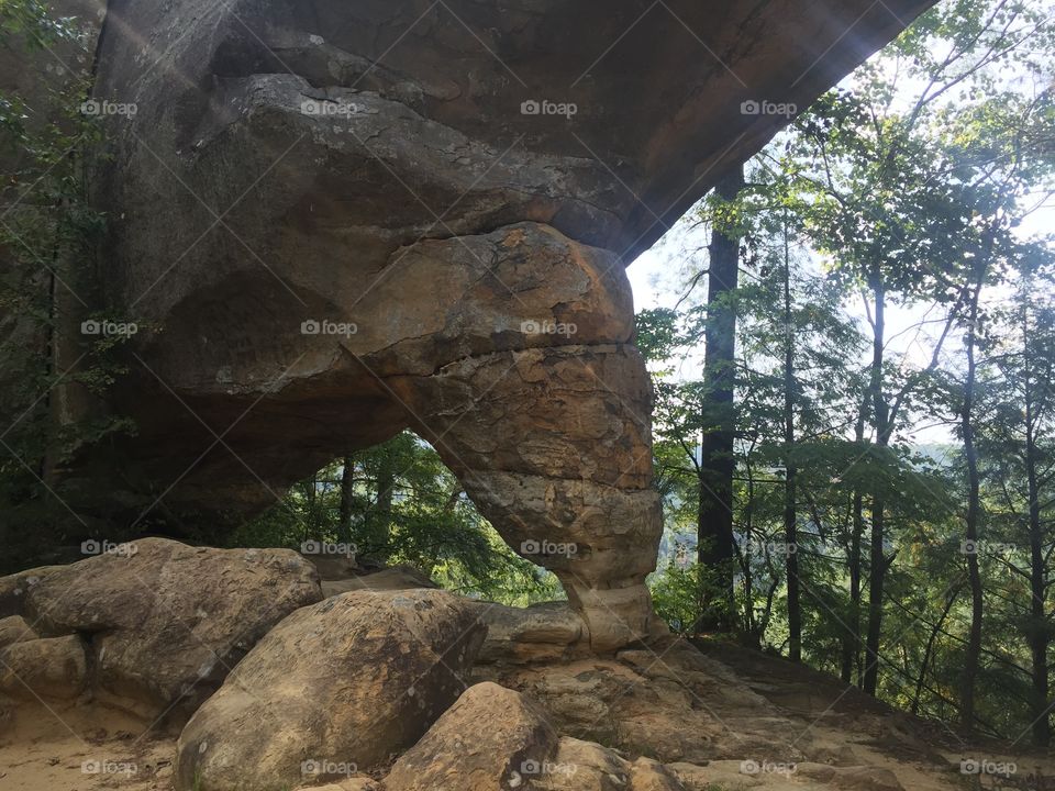 A beautiful and fascinating geological feature located just off a hiking trail in Kentucky's Natural Bridge State Park.