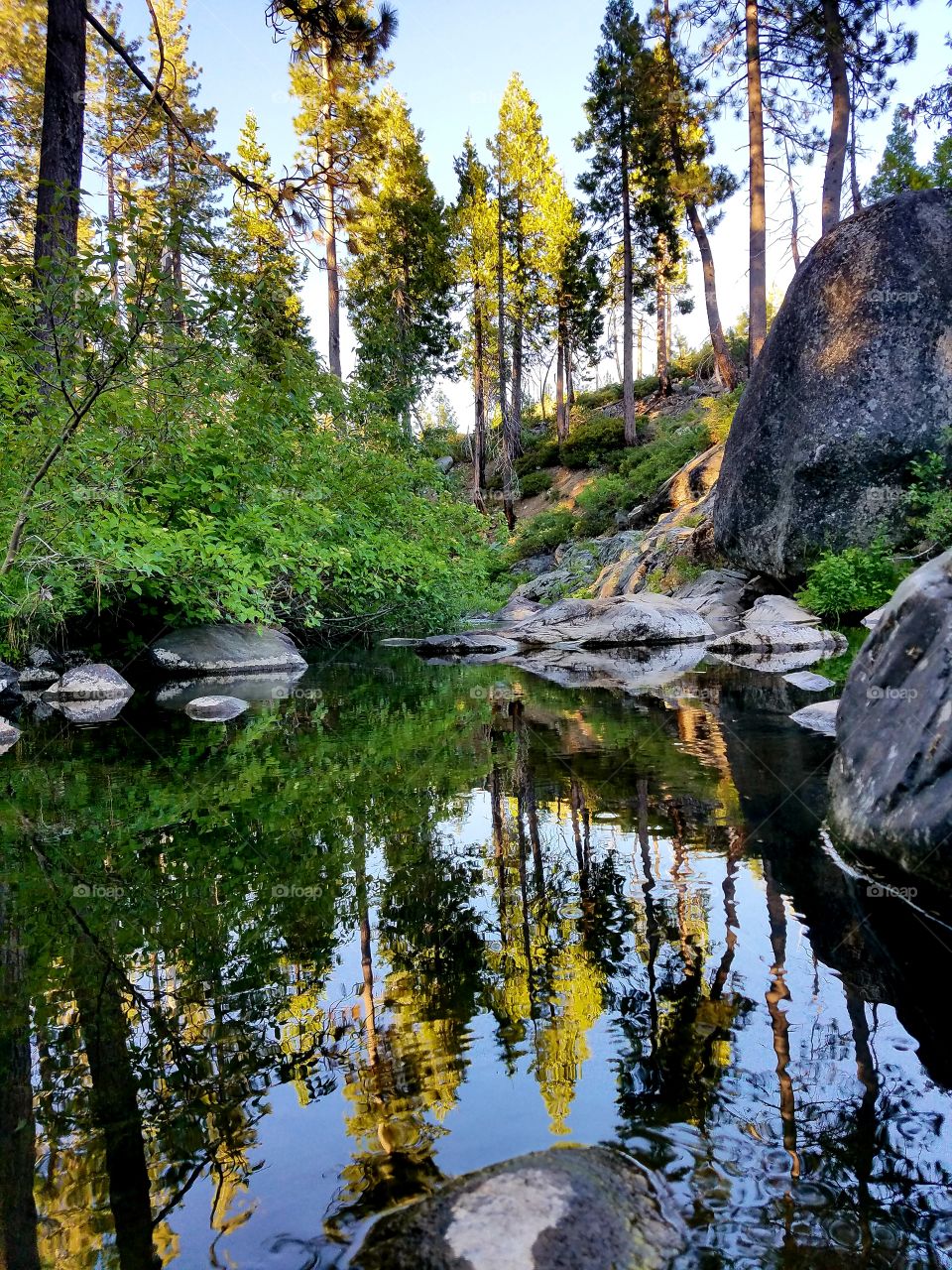 Sierra reflections