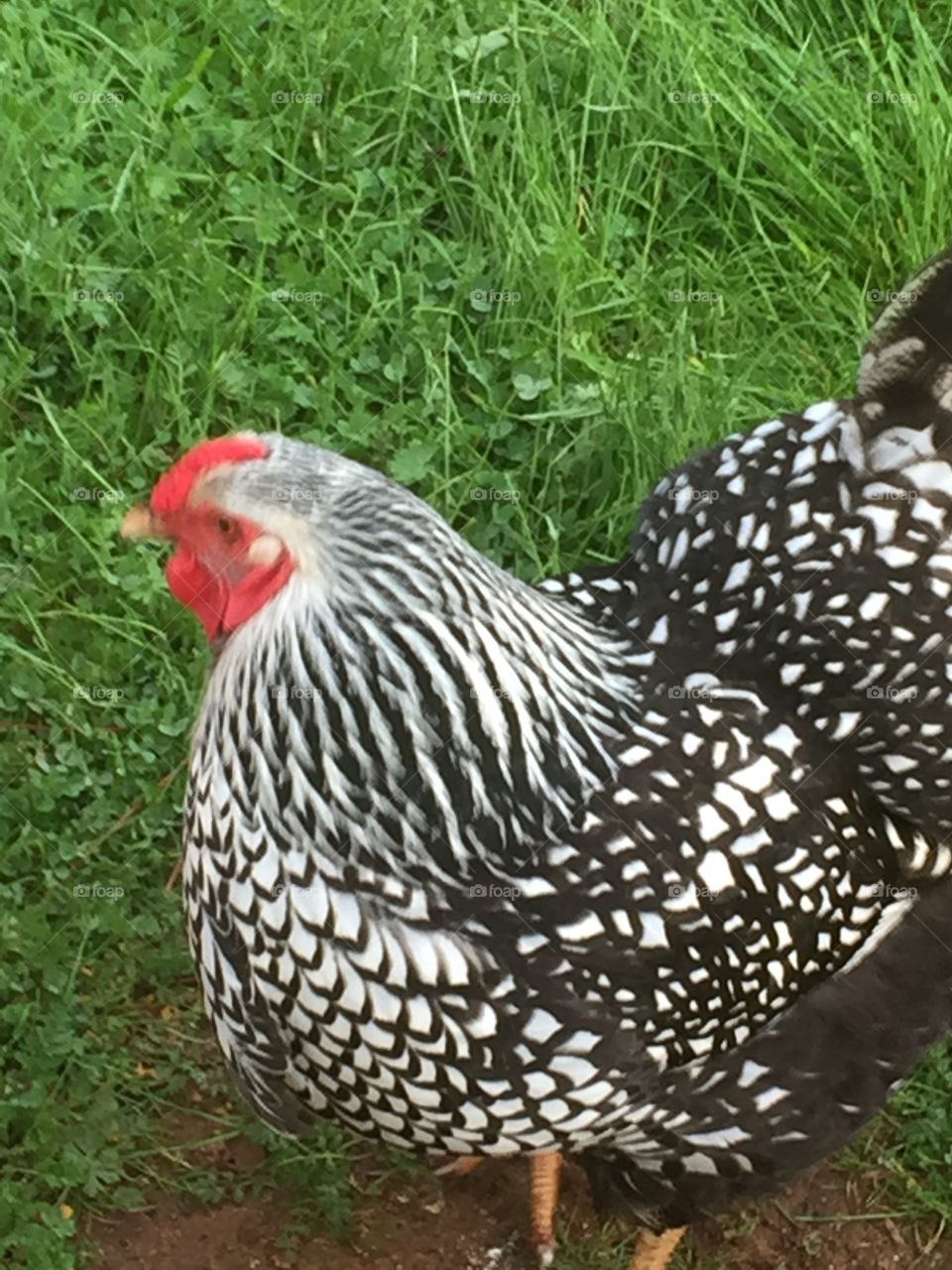 Did you get my good side?