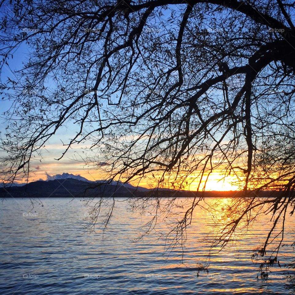 Lake Zug sunset 