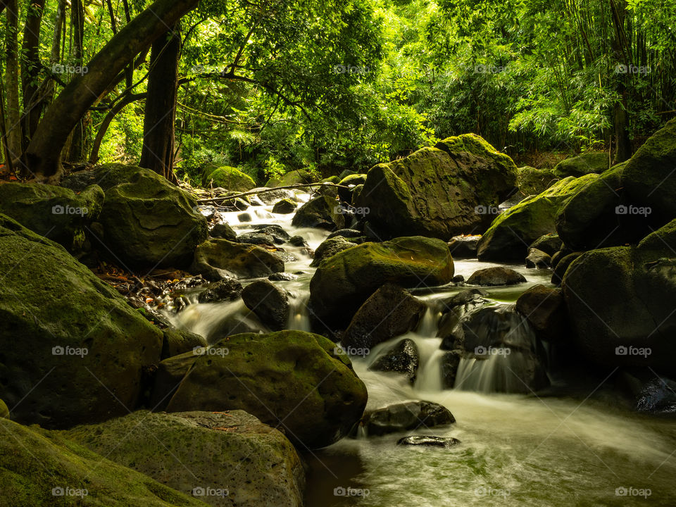 Jungle river along a trail, long exposure water