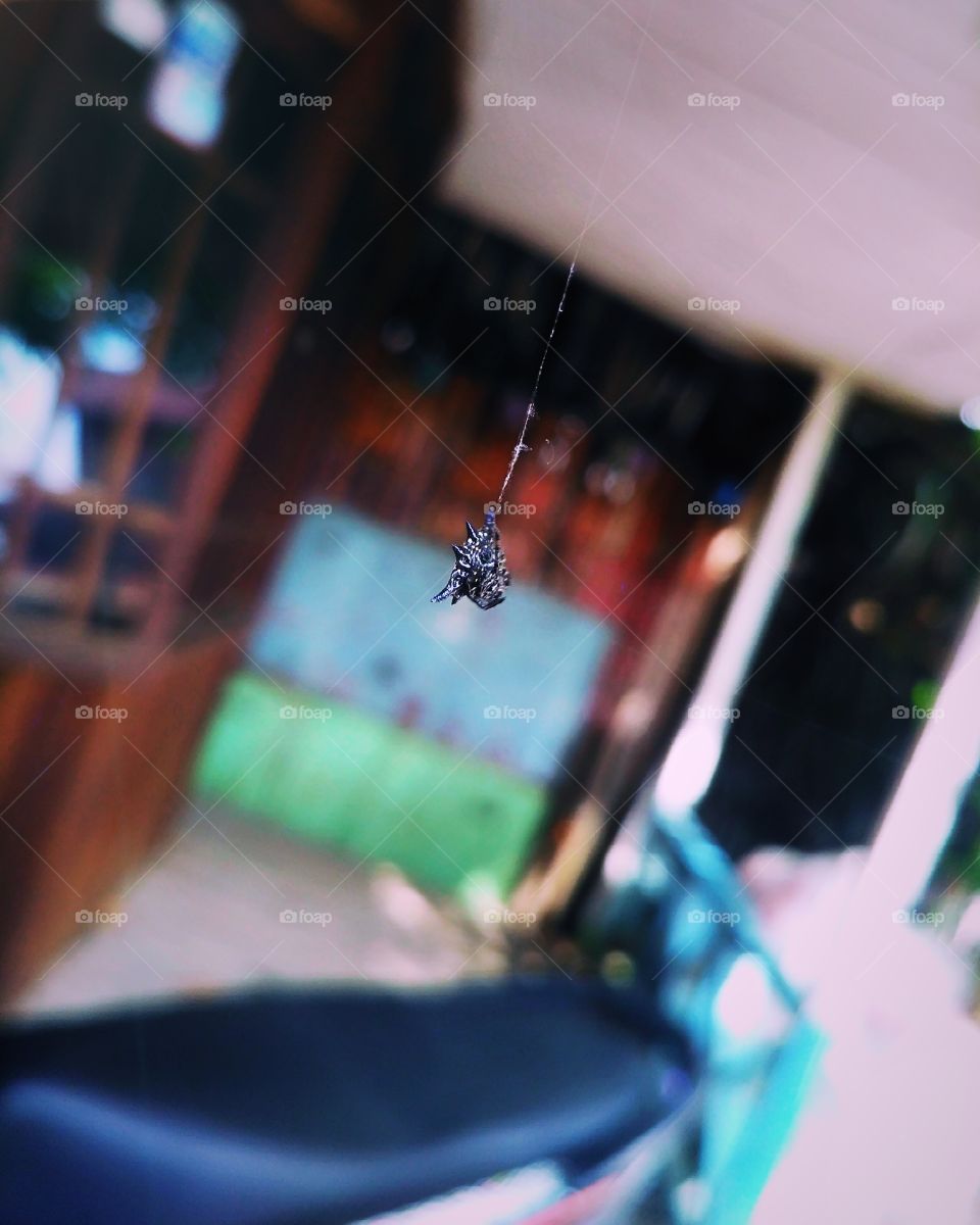 Spiderman  using the camera handphone xiomi redmi 3