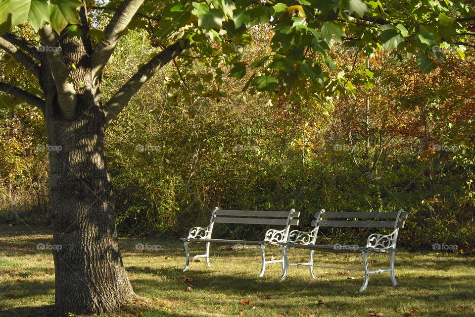 a peaceful place to chat