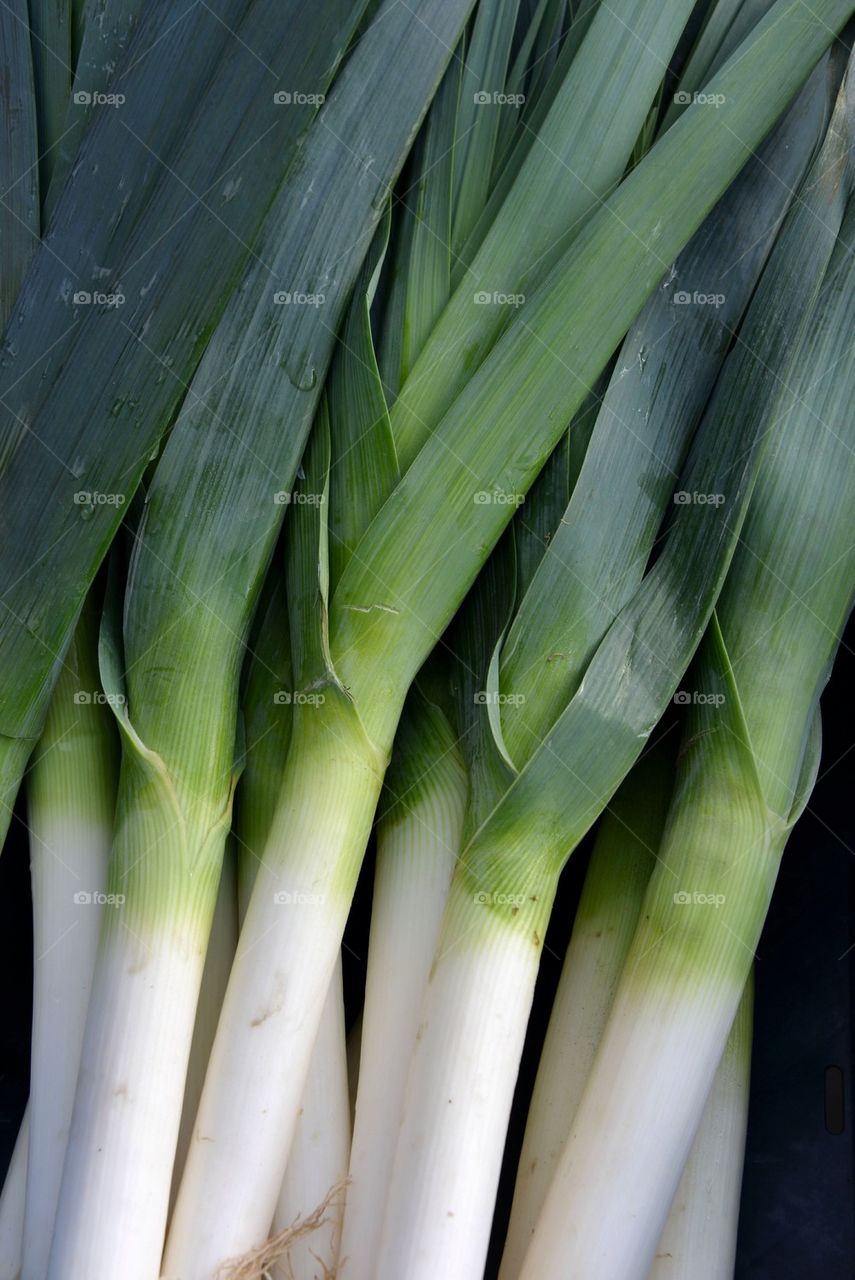 Leek