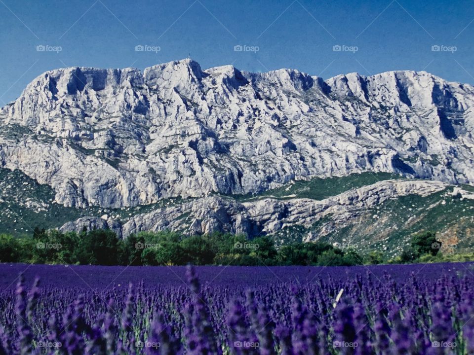 French Mountain 
