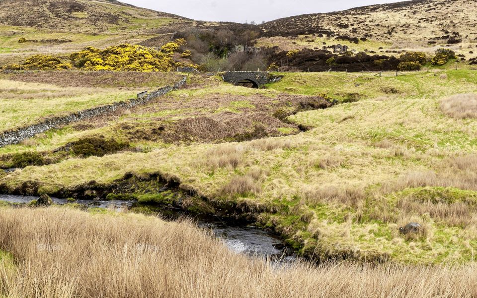 Grassy meadows and rolling hills surround this Scottish highland stream