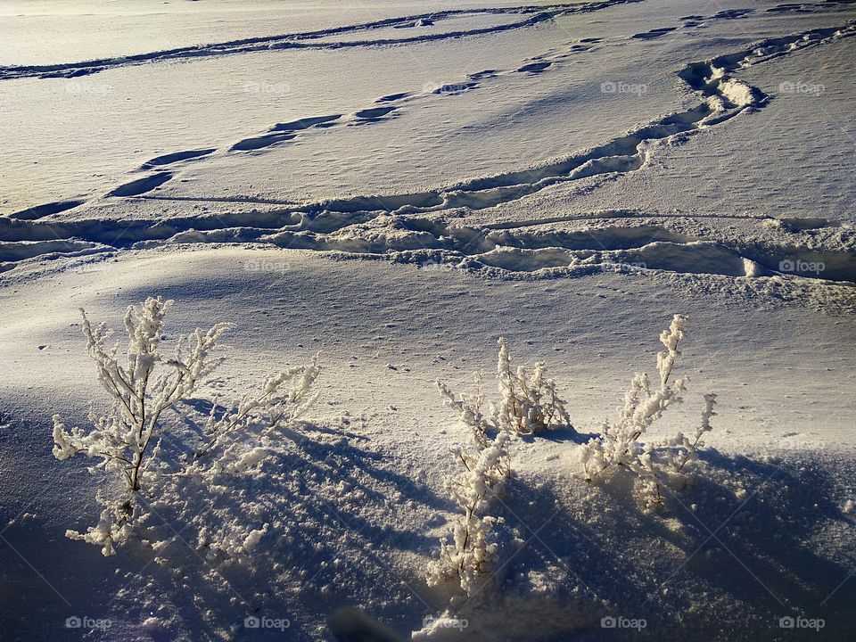 Footprints on snow on a sunny day