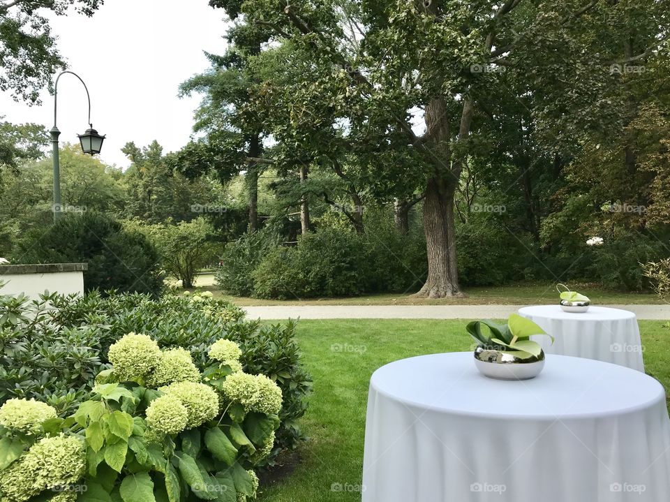 Belvedere, a luxury park restaurant, Lazienki Krolewskie, Warsaw