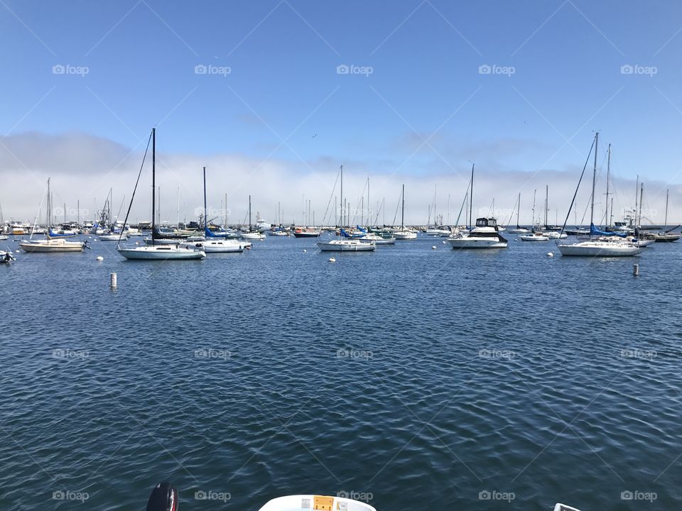 Yacht, Sailboat, Water, Harbor, Sea