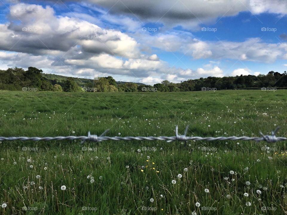 Barb wire. A photo of a field with barb wire in the foreground