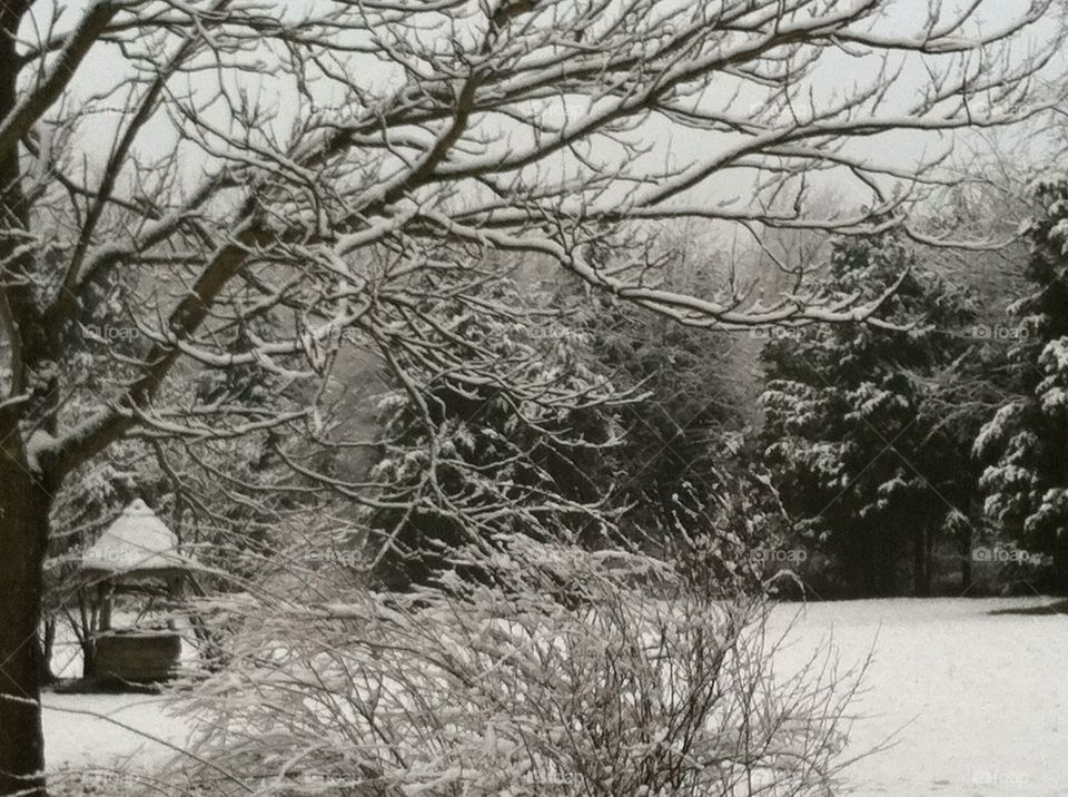 West Virginia snow. December snow