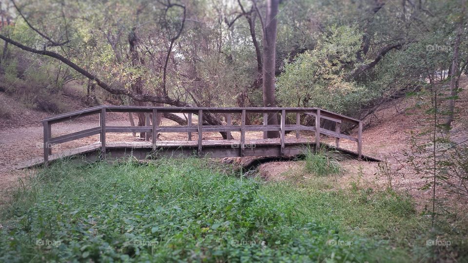 wood bridge
