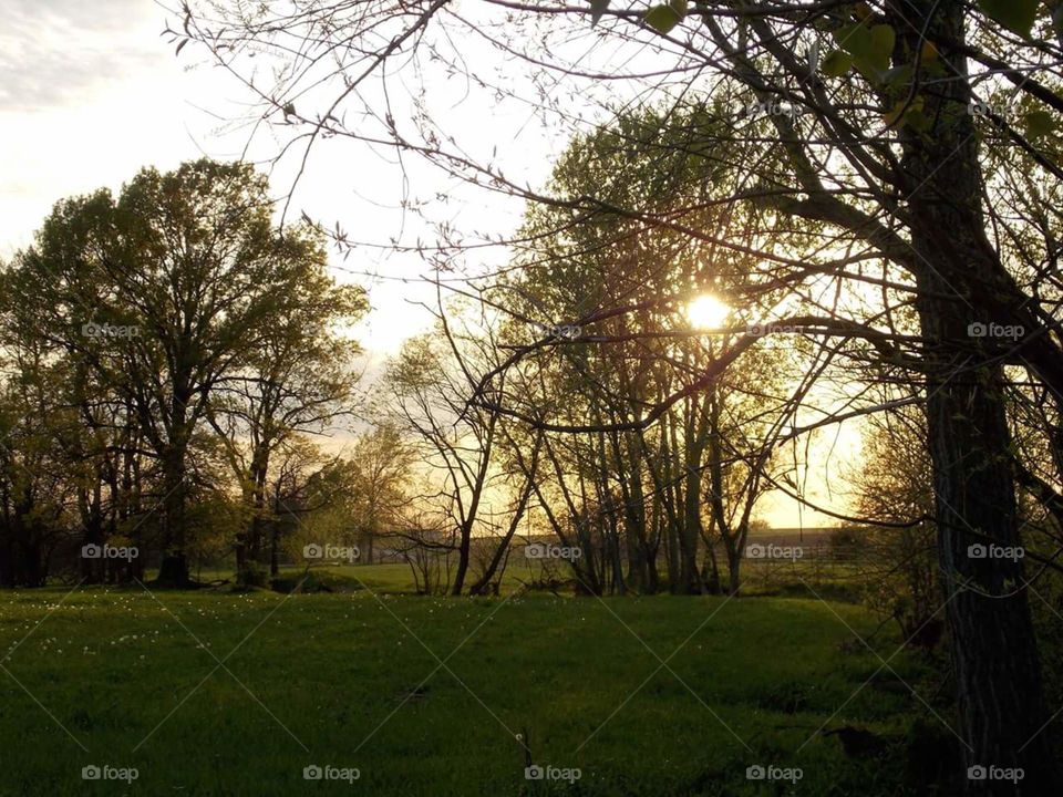 Sunset on the Farm Creek