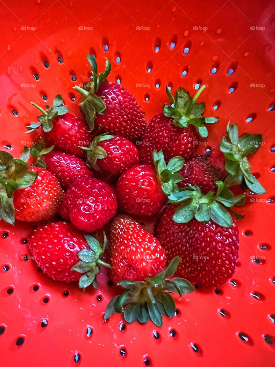 Delicious Fresh Home Grown Strawberries in colander 