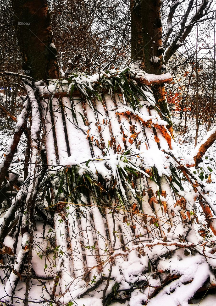Fence in the snowy woods