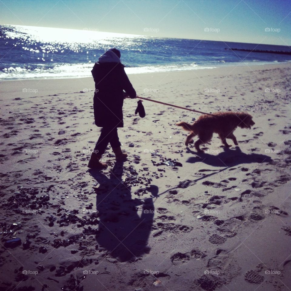 Walk on the beach. Girl and dog walk on beach