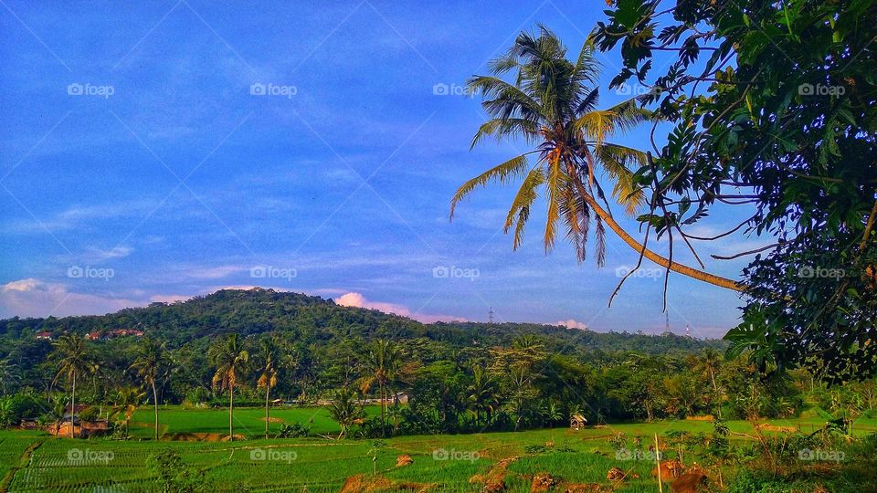 Beautiful natural scenery and cool