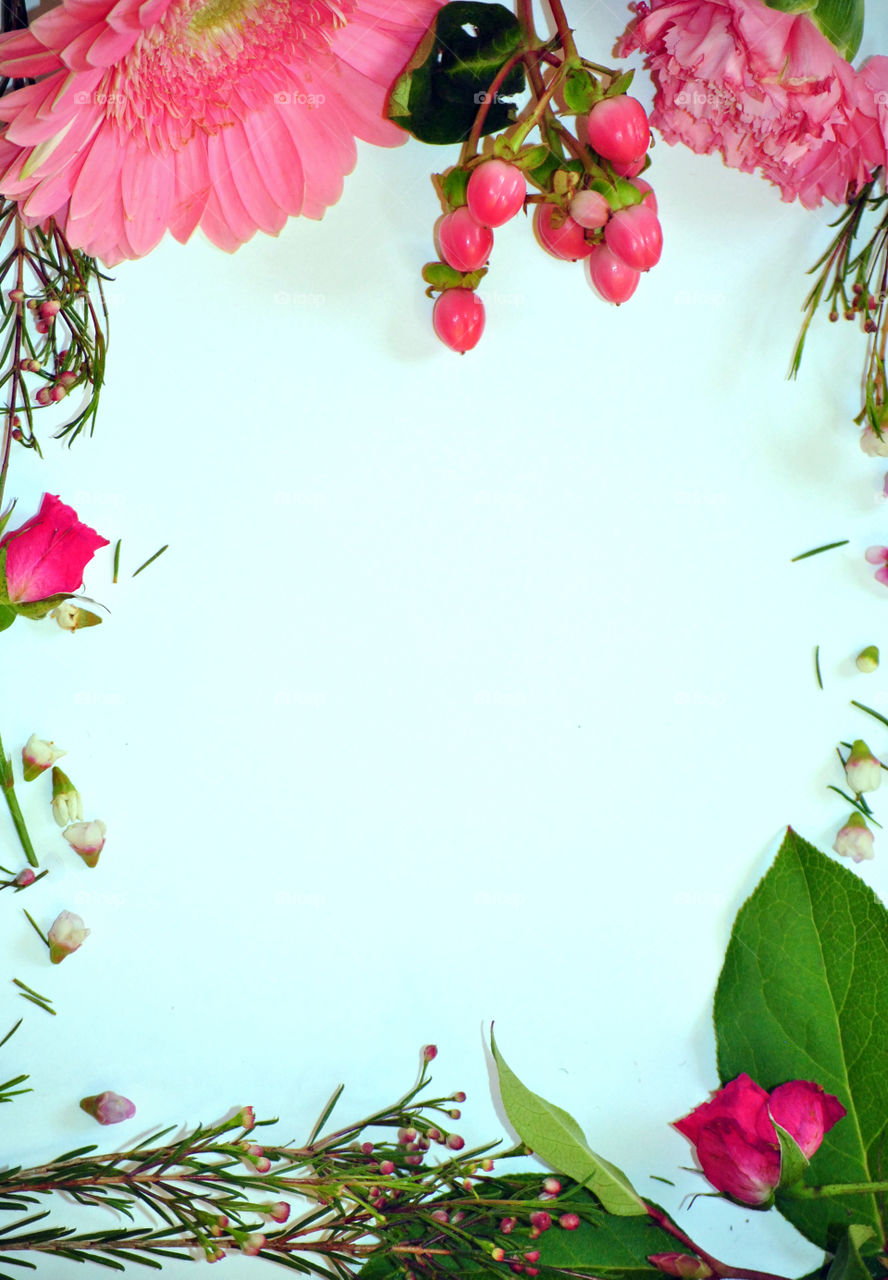 Floral border, spring border, pink flowers, Flowers flat lay in white background