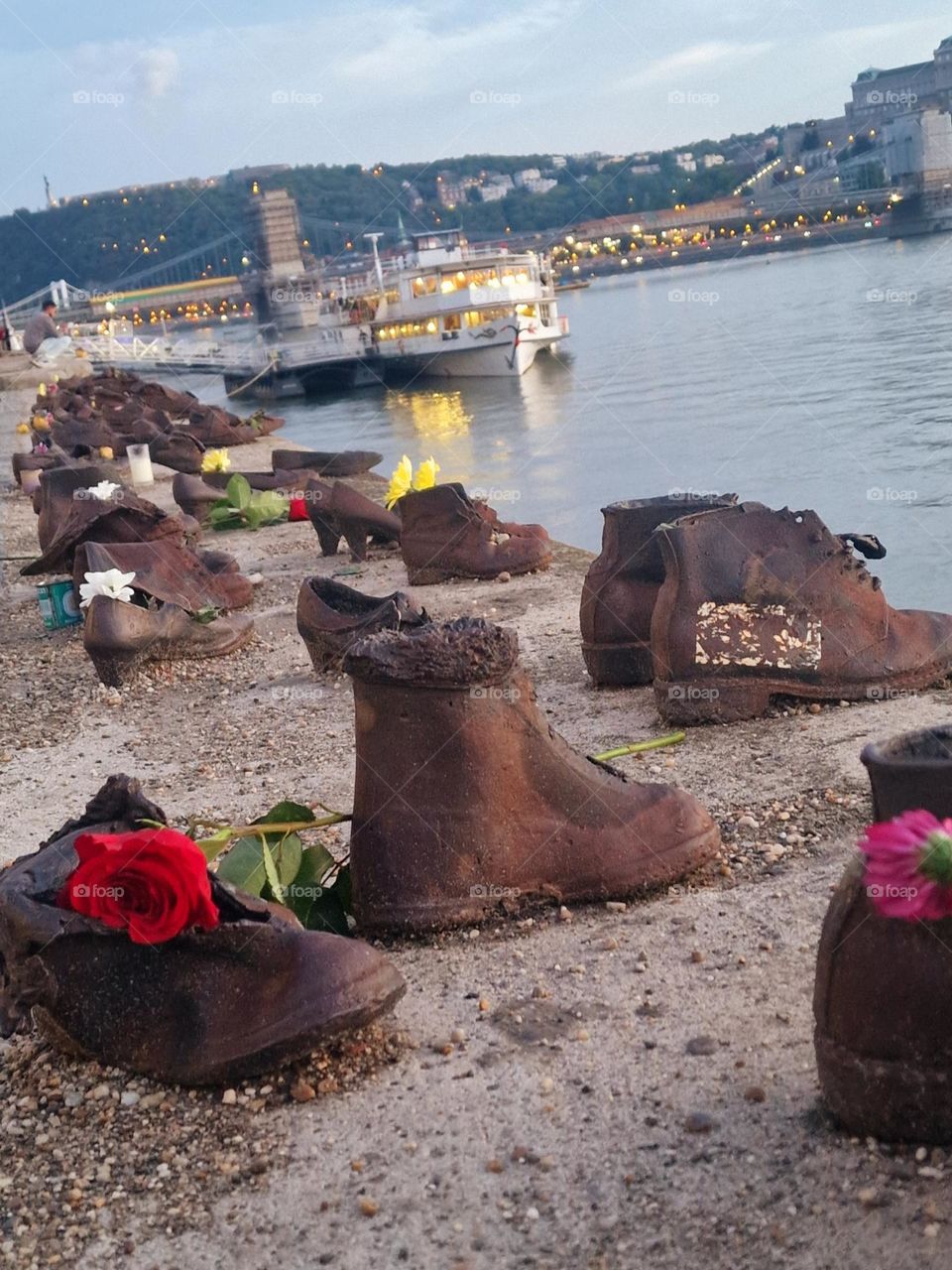 magenta flower in the shoes on the bank of the Danube