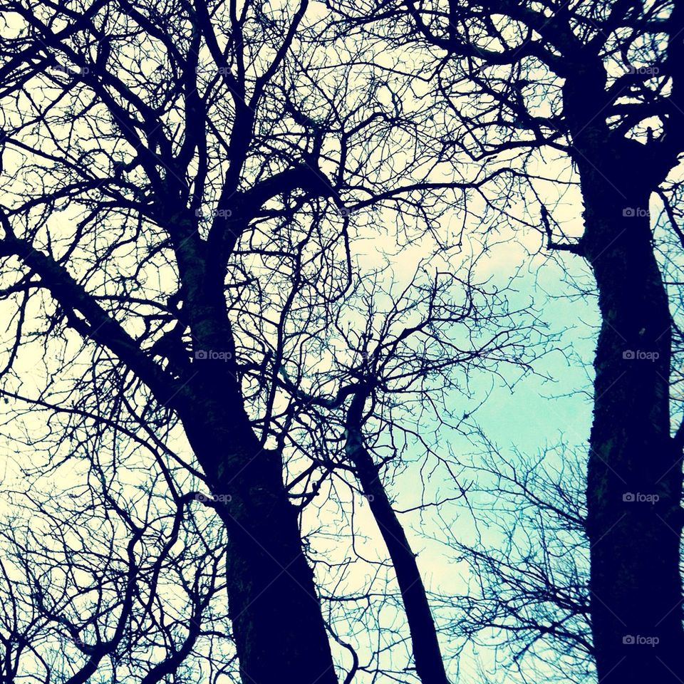 black trees graphic silhouette by rebelf