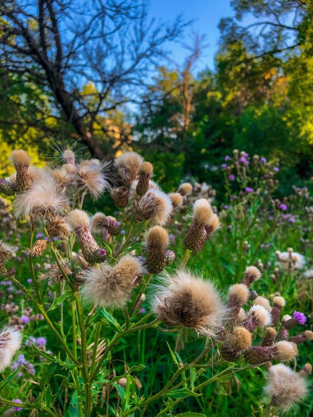 Nature’s beauty 