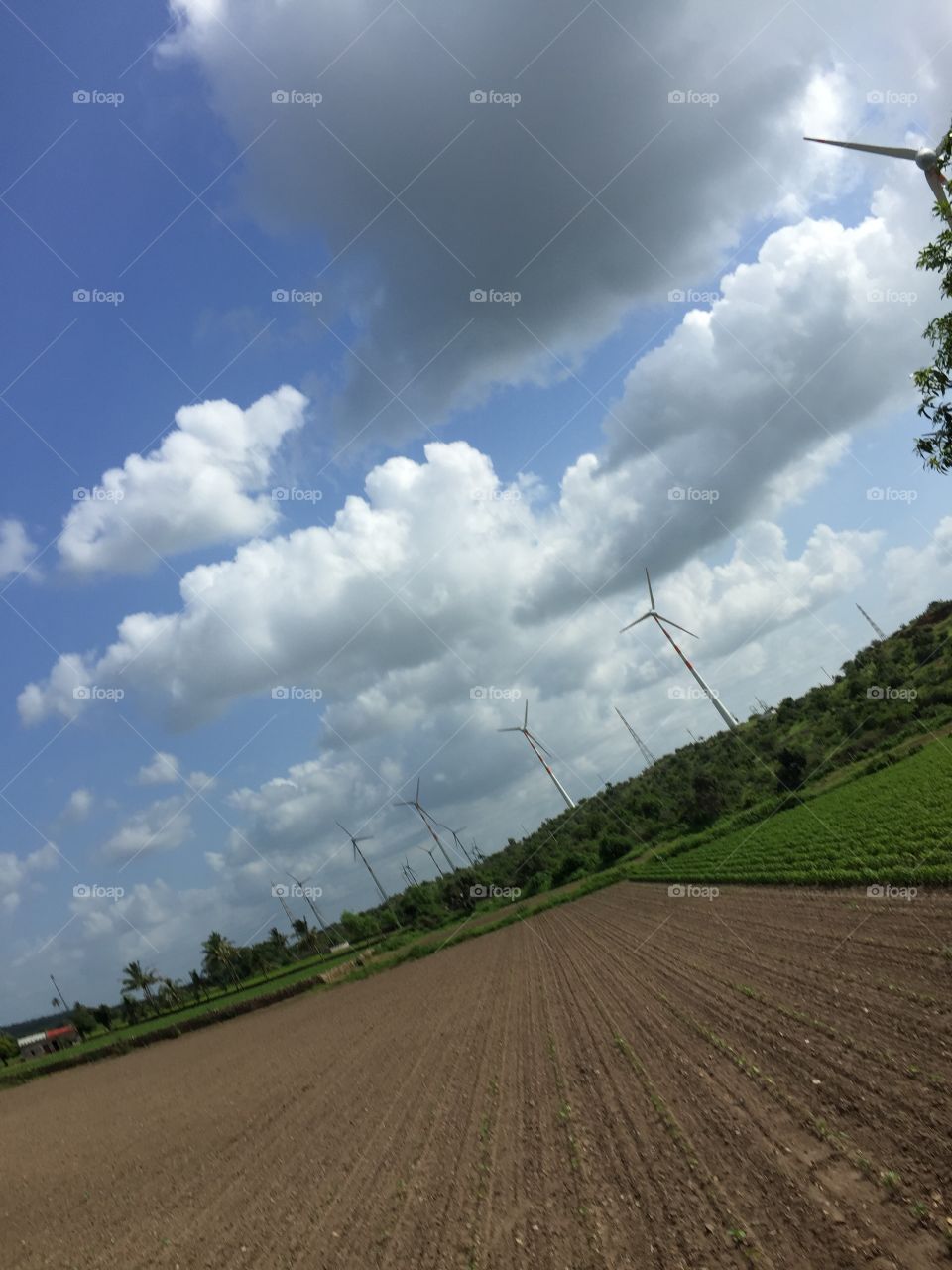 Windmills located near country side farm